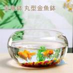  стол 20cm 25cm 30cm круглый аквариум круглый круглый аквариум аквариум маленький размер аквариум разведение аквариум стекло me Dakar горшок zonchi-me Dakar прозрачный декоративное растение большая вместимость модный аквариум миска вода .