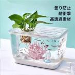  круглый аквариум me Dakar прозрачный ваза бутылка аквариум бутылка террариум kokelium аквариум zonchi- аквариум Bubble миска мох террариум повседневный используя .