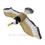  птица ..kalas.. садоводство голубь .. птица .. птица .. кайт ястреб птица .. кайт Eagle кайт zonchi- защита от птиц кайт ястреб птица .. защита от животных птица насекомое сопутствующие товары двор. оборудование орнамент .. - 