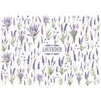 [ белый фарфор для ] лаванда транскрипция бумага . цветок цветок лиловый pa Poe погреб tsu транскрипция бумага 