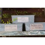  ручная работа суккулентное растение ..... переделка paundo type голубой серый 