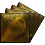 EvahPirazzi Gold　エヴァピラッツィゴールド　バイオリン弦SET