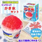 食品サンプル 手作りキット 「 シャリシャリ かき氷 キット ×1箱」 かき氷 カップ 付き 対象年齢 6歳以上 お子様向け 自由研究 自由工作 DIY クラフトキット