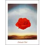 ダリ瞑想する薔薇アートパネル額装