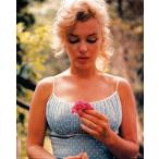 ¥Þ¥ê¥ê¥ó¡¦¥â¥ó¥í¡¼¡¡¥Ý¥¹¥¿¡¼¡¿Marilyn Monroe Blue dress holding flower¡¡¥Õ¥ì¡¼¥àÉÕ