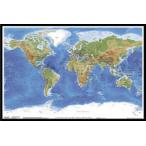 世界地図 Planetary Visions <br> ポスター フレームセット(100904)