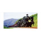 【12月予約】KATO C57 1 Nゲージ 鉄道模型 2024-1