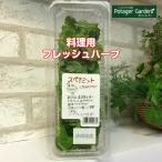 ハーブ 食用 スペアミント1パック（レシピ付 フレッシュハーブ ハーブティー ミックス 野菜 サラダ 生 業務用 使い方 ギフト スパイス）