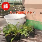 ハーブ 栽培キット（種類 栽培 苗 寄せ植え 初心者 花 ハーブティー ハーブガーデン 送料無料）アンティークライト 吊り下げサークル 白