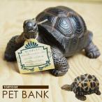 ショッピング貯金箱 貯金箱 バンク 置物 小物 インテリア雑貨 アニマル かわいい PET BANK TORTOIS 貯金箱 ペットバンク（カメ）