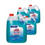  Kao стекло Magic Lynn 4.5Lx4 шт. входит .