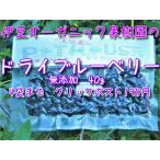 ドライフルーツ　ブルーベリー　オーガニック　無添加　お試し　500円