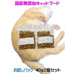 国産 無添加 健康 キャットフード ねこのまんま お試し セット 80g 40gx2個 高たんぱく 低脂肪 グルテンフリー ドライフード 全年齢対応