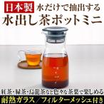 美味しい紅茶を簡単に水出し 日本製 HARIO ハリオ製 水だけで抽出する 水出し茶ポットミニ フィルターメッシュ付き ティーポット 耐熱ガラス 700ml