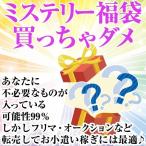 ミステリー福袋 2021年 10万円税別コース 送料無料