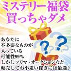 ミステリー福袋 2021年 1万円税別コース 送料無料