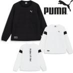 [ специальная цена ] Puma Golf осень-зима модель мужской с хлопком la gran блузон 624907 PUMA GOLF [23]
