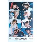 Stray Kids ストレイキッズ グッズ 大判 壁掛け カレンダー 2024年 (令和6年) + カレンダー ステッカーセット