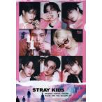 stray kidss tray Kids товары прозрачный файл A4 размер новый продукт фотография 