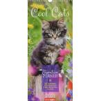 Familienplaner Cool Cats - Kalender 2021
