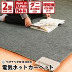 ワタナベ工業 電気ホットカーペット 2帖本体 グレー ラグ 暖房機器 保温