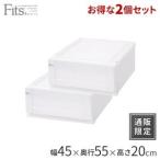 天馬 フィッツユニット 4520 2個セット ホワイト 4904746128201 通販限定 収納ケース 衣装ケース 押入れ収納 定番【返品不可】