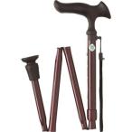 フジホーム かるがもＥ 折畳Ｓ レッ