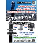 STAYTHEE本体のみ【ステ