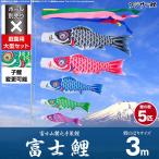 鯉のぼり 庭用 こいのぼり フジサン鯉 富士鯉 3m 8点セット 庭園 大型セット ポール 別売