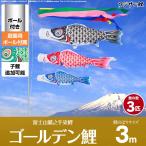 鯉のぼりセット 庭用 ポール付 こいのぼり フジサン鯉 ゴールデン鯉 3m 6点セット 庭園用 ポール付属 ガーデンセット