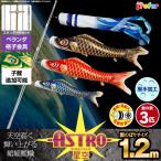  koinobori veranda for koinobori ASTRO crepe-de-chine star empty common carp 1.2m 6 point set .. metal fittings attached veranda standard set 