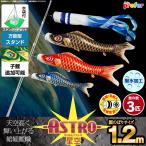 鯉のぼり ベランダ用 こいのぼり ASTRO ちりめん星空鯉 1.2m 6点セット 格子金具付属 ベランダ スタンダードセット 万能スタンド