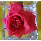  консервированный цветок . цвет жидкость ( Celeb розовый )1000ml