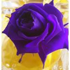  консервированный цветок . цвет жидкость ( темно-синий голубой )500ml