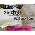 使い捨て マスク フィルター 250枚分 純国産不織布