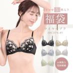 ブラジャー 福袋 ブラ 単品 5点 セット レディース 下着 おしゃれ 福袋 ブラジャー ワイヤー 女性 インナー おまかせ  ABCD 70 75 80 85サイズ