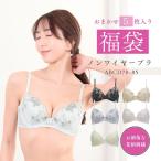ブラ 福袋 ブラジャー 5点 セット ノンワイヤー レディース 下着 女性 インナー 単品 おまかせ まとめ買い 70 75 80 85 サイズ 刺繍 レース