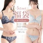 ブラ ショーツ セット 福袋 ブラセット 5点セット レディース おまかせ A B C D E F カップ M L LLセクシー フェミニン  刺繍 レース 花柄 65 70 75 80 85