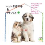  - - moni - bell домашнее животное . отсутствие номер & relax 