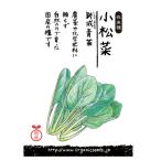 ナチュラルライフステーション 国産・自然農法種子 小