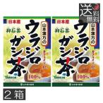 あすつく　山本漢方製薬　ウラジロガシ茶 100% （5g　20包） 　2箱　抑石茶　流石茶　健康茶　ウラジロガシ　裏白樫
