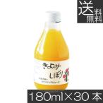 送料無料伊藤農園100%ピュアジュ...