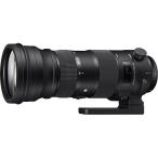 中古 １年保証 良品 SIGMA Sports 150-600m