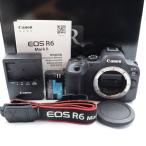 中古 １年保証 良品 Can