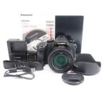 ���� �P�N�ۏ� �Ǖi Panasonic LUMIX DMC-FZ1000
