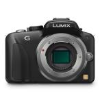 中古 １年保証 良品 Panasonic LUMIX DMC-G3 ボディ ブラック