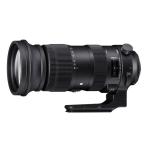中古 １年保証 美品 SIGMA Sports 60-600mm
