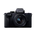 中古 １年保証 美品 Panasonic LUMIX G100 標準ズームレンズキット ブラック [DC-G100K-K]