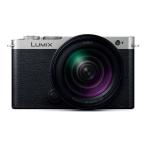 中古 １年保証 美品 Panasonic LUMIX S9 高倍率ズームレンズキット ダークシルバー [DC-S9H-S]