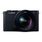 中古 １年保証 美品 Panasonic LUMIX S9 標準ズームレンズキット ジェットブラック [DC-S9K-K]